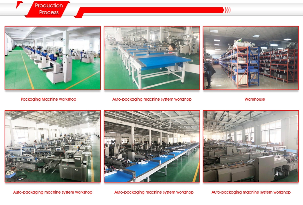 Reasonable Layout Zp-408s Tissue Packing Machine for Daily Necessities