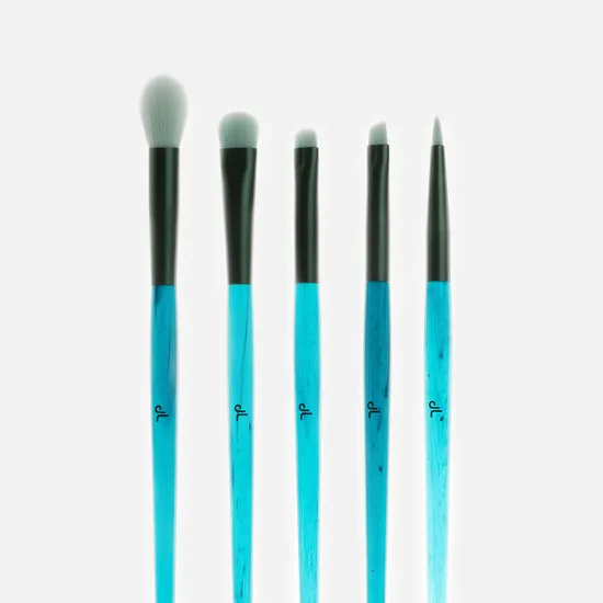 DL Beauty Tools Makeup Brush Set for Face Lip Eye Shadow 5PCS Cosmetics Brushes Kits 