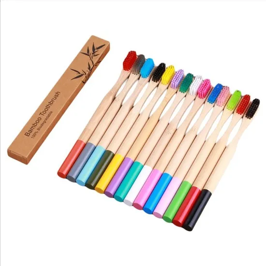 Different Kinds of Eco