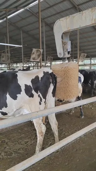 Livestock Scratching Diary Farm Multi
