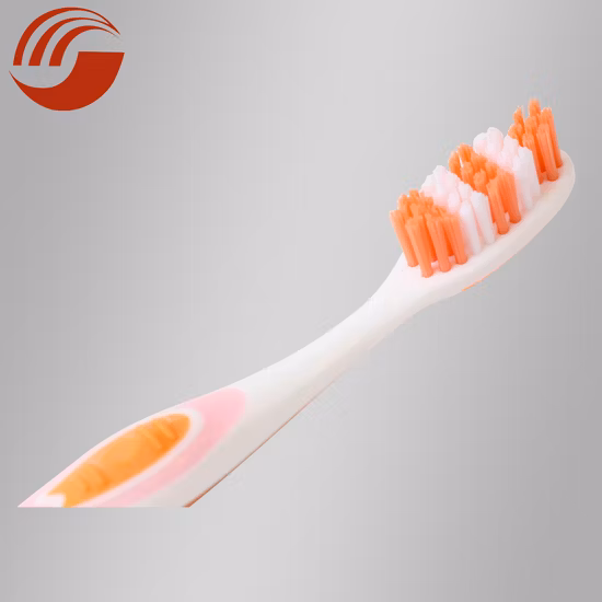 Custom Unique Personal PP/Nylon Oral Care Adult/Child Household/Travel Toothbrush